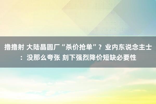 撸撸射 大陆晶圆厂“杀价抢单”？业内东说念主士：没那么夸张 刻下强烈降价短缺必要性