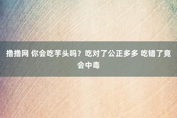 撸撸网 你会吃芋头吗？吃对了公正多多 吃错了竟会中毒