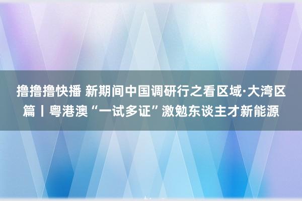 撸撸撸快播 新期间中国调研行之看区域·大湾区篇丨粤港澳“一试多证”激勉东谈主才新能源