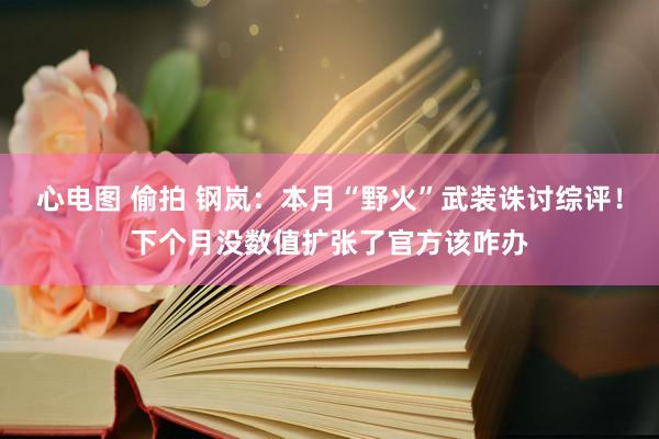 心电图 偷拍 钢岚：本月“野火”武装诛讨综评！下个月没数值扩张了官方该咋办