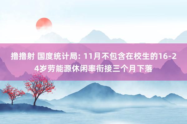 撸撸射 国度统计局: 11月不包含在校生的16-24岁劳能源休闲率衔接三个月下落