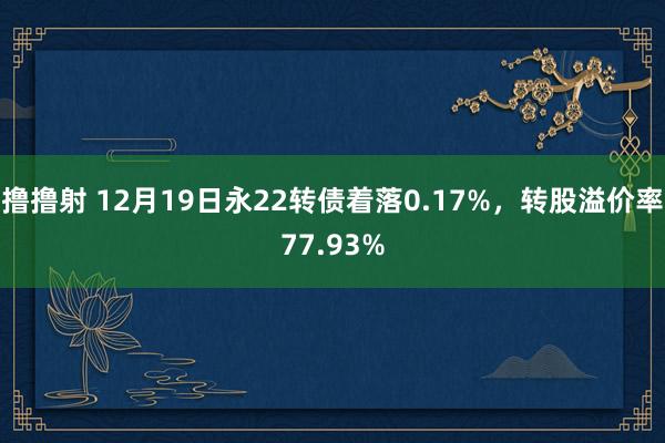 撸撸射 12月19日永22转债着落0.17%，转股溢价率77.93%