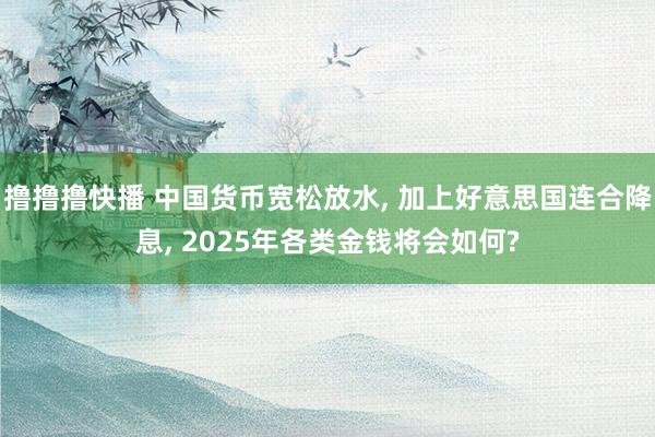 撸撸撸快播 中国货币宽松放水， 加上好意思国连合降息， 2025年各类金钱将会如何?