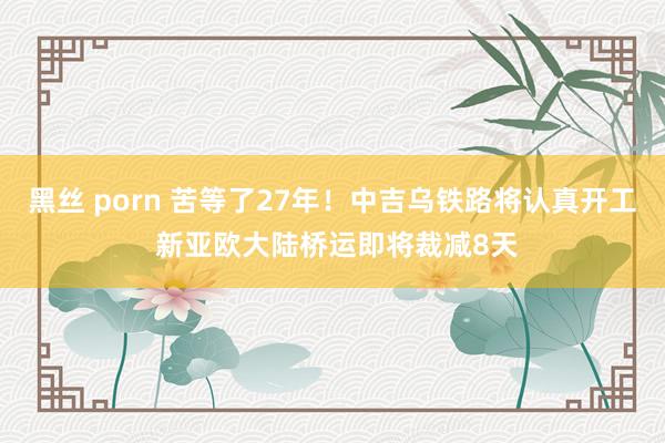 黑丝 porn 苦等了27年！中吉乌铁路将认真开工 新亚欧大陆桥运即将裁减8天