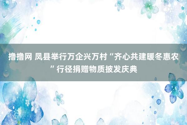 撸撸网 凤县举行万企兴万村“齐心共建暖冬惠农”行径捐赠物质披发庆典