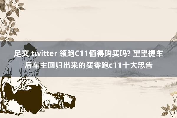 足交 twitter 领跑C11值得购买吗? 望望提车后车主回归出来的买零跑c11十大忠告