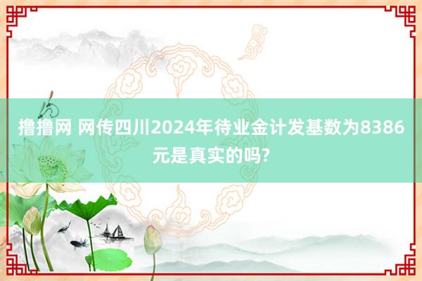 撸撸网 网传四川2024年待业金计发基数为8386元是真实的吗?