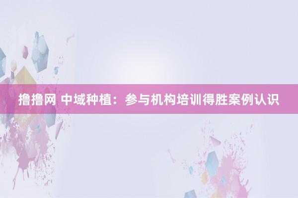 撸撸网 中域种植：参与机构培训得胜案例认识