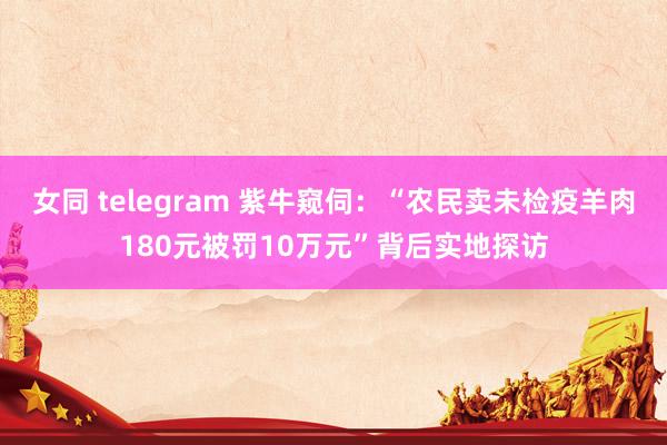 女同 telegram 紫牛窥伺：“农民卖未检疫羊肉180元被罚10万元”背后实地探访