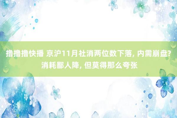 撸撸撸快播 京沪11月社消两位数下落， 内需崩盘? 消耗鄙人降， 但莫得那么夸张