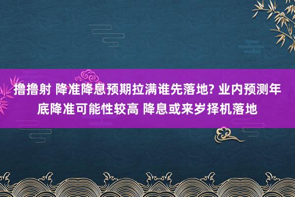 撸撸射 降准降息预期拉满谁先落地? 业内预测年底降准可能性较高 降息或来岁择机落地