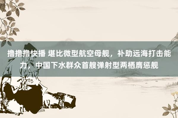 撸撸撸快播 堪比微型航空母舰，补助远海打击能力，中国下水群众首艘弹射型两栖膺惩舰