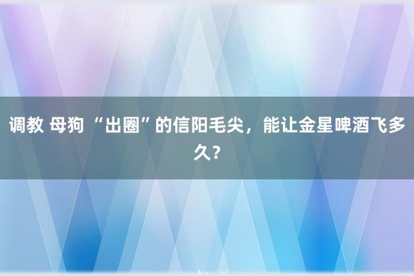 调教 母狗 “出圈”的信阳毛尖，能让金星啤酒飞多久？