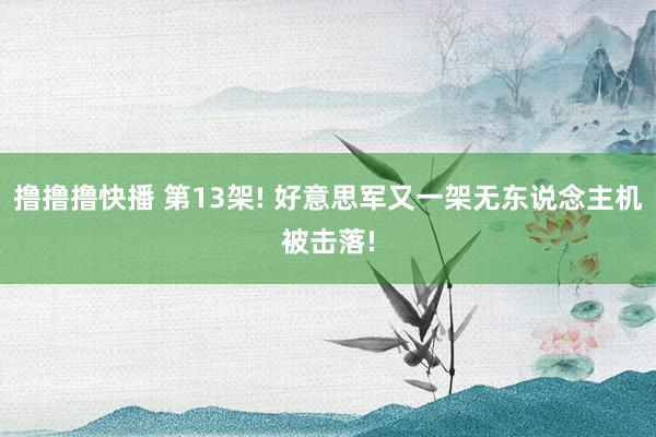 撸撸撸快播 第13架! 好意思军又一架无东说念主机被击落!