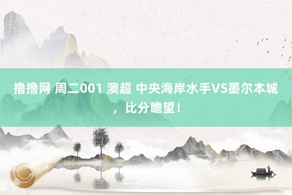 撸撸网 周二001 澳超 中央海岸水手VS墨尔本城，比分瞻望！