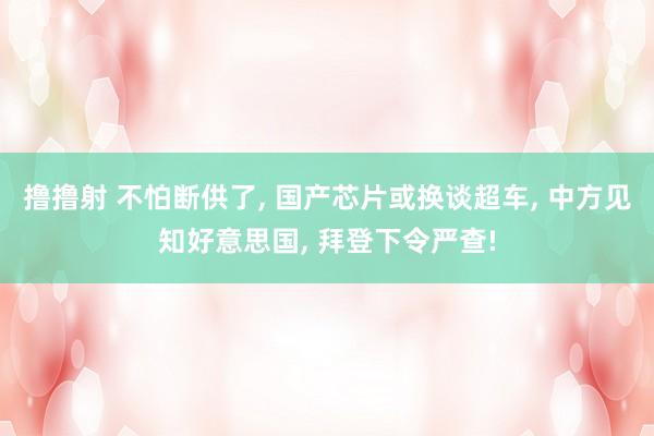 撸撸射 不怕断供了， 国产芯片或换谈超车， 中方见知好意思国， 拜登下令严查!