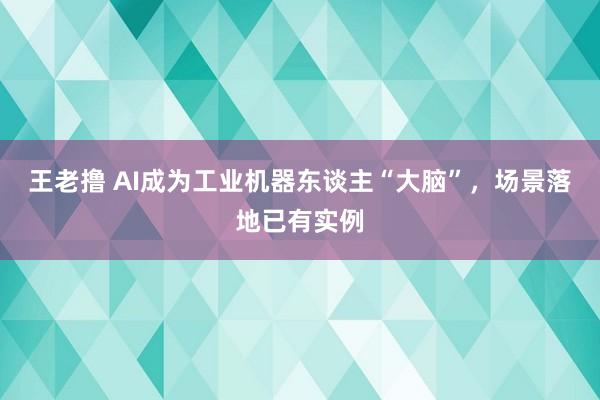 王老撸 AI成为工业机器东谈主“大脑”，场景落地已有实例