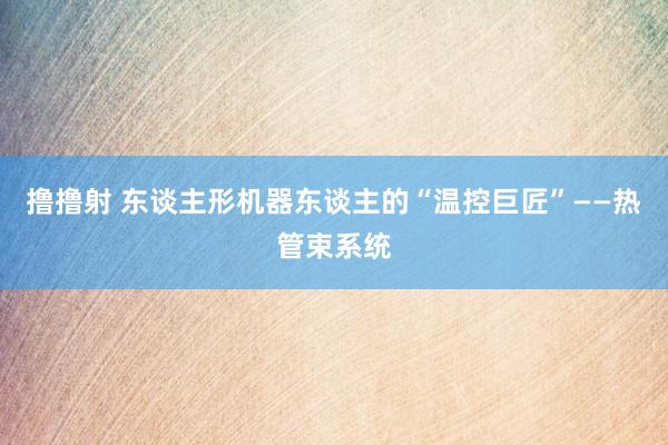 撸撸射 东谈主形机器东谈主的“温控巨匠”——热管束系统