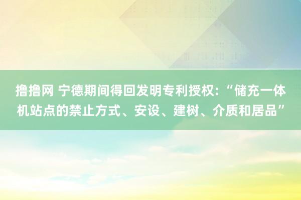 撸撸网 宁德期间得回发明专利授权: “储充一体机站点的禁止方式、安设、建树、介质和居品”