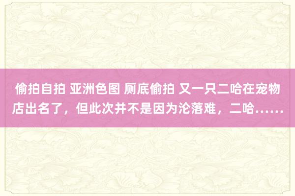 偷拍自拍 亚洲色图 厕底偷拍 又一只二哈在宠物店出名了，但此次并不是因为沦落难，二哈……