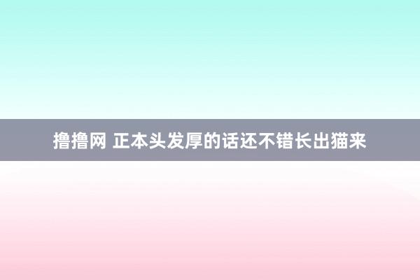 撸撸网 正本头发厚的话还不错长出猫来