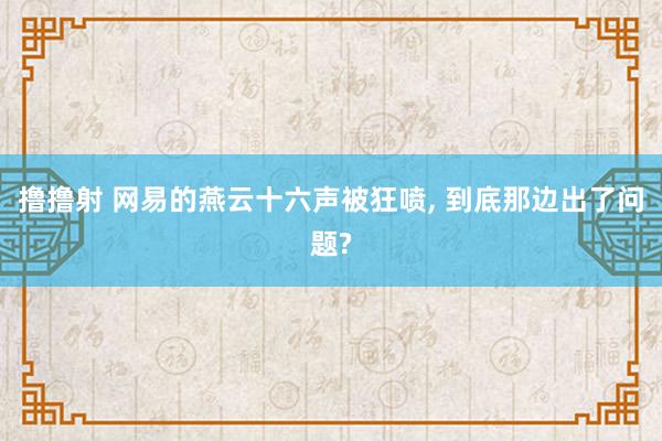 撸撸射 网易的燕云十六声被狂喷， 到底那边出了问题?