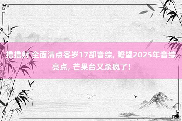 撸撸射 全面清点客岁17部音综， 瞻望2025年音综亮点， 芒果台又杀疯了!