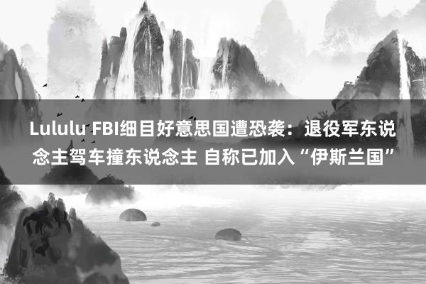 Lululu FBI细目好意思国遭恐袭：退役军东说念主驾车撞东说念主 自称已加入“伊斯兰国”