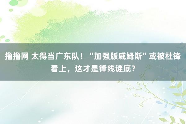 撸撸网 太得当广东队！“加强版威姆斯”或被杜锋看上，这才是锋线谜底？