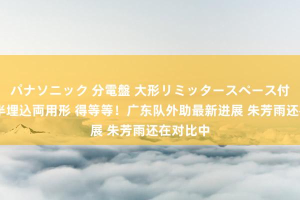 パナソニック 分電盤 大形リミッタースペース付 露出・半埋込両用形 得等等！广东队外助最新进展 朱芳雨还在对比中