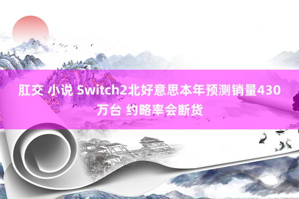 肛交 小说 Switch2北好意思本年预测销量430万台 约略率会断货