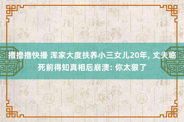 撸撸撸快播 浑家大度扶养小三女儿20年， 丈夫临死前得知真相后崩溃: 你太狠了